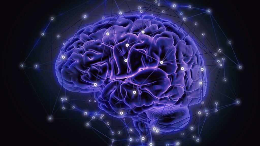 Neurociencia y futbol